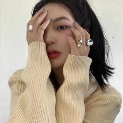 黑狐：希特勒